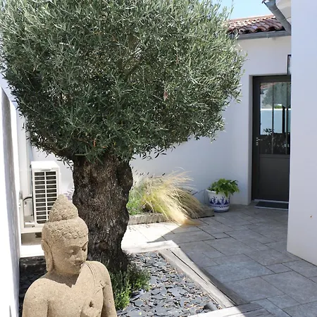 Pins En Re * Rivedoux-Plage