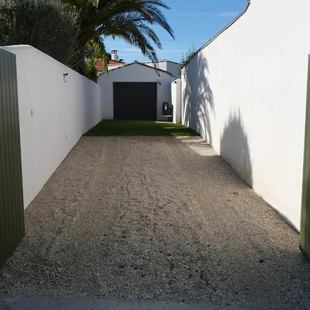 Pins En Re * Rivedoux-Plage